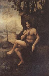 Leonardo  Da Vinci Bacchus (mk05) Spain oil painting art